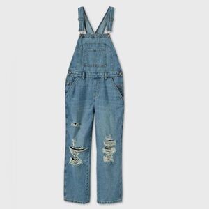 Wild Fable distressed overalls